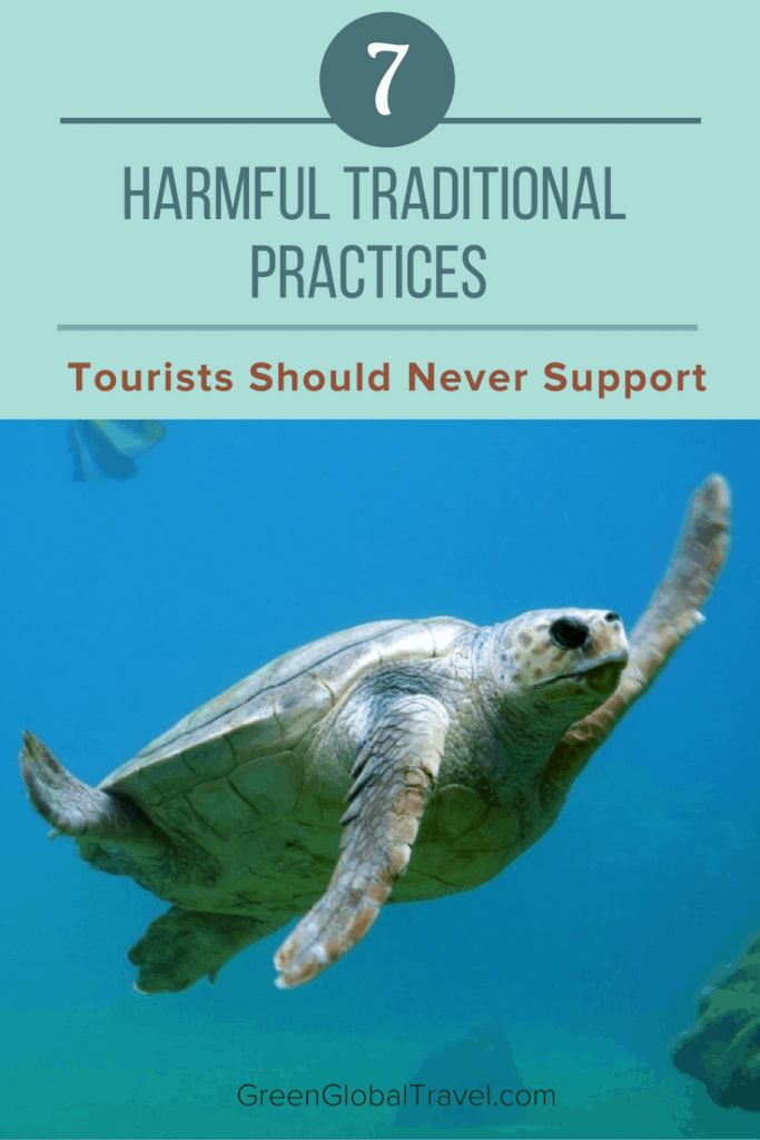 7-harmful-traditional-practices-tourists-should-never-support