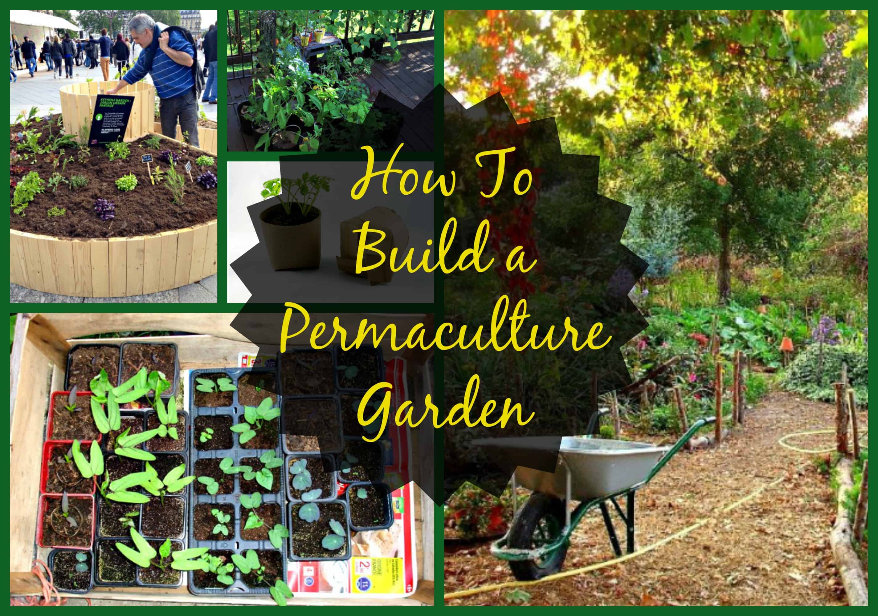 How to Build a Permaculture Garden