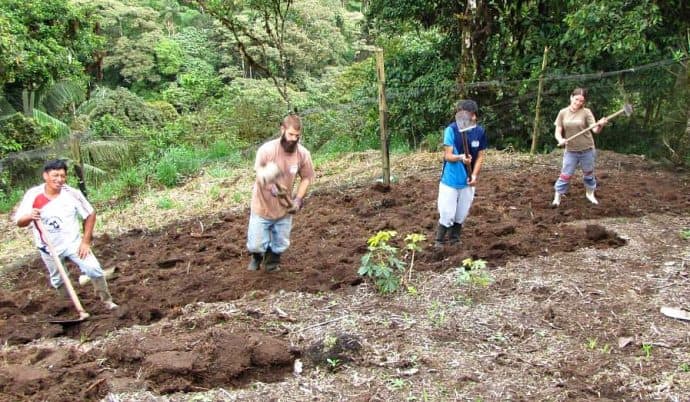 How to Volunteer -Gardening in Las Tolas