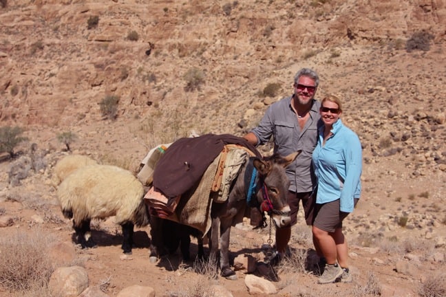 Donkey in Dana Biosphere Reserve, Jordan