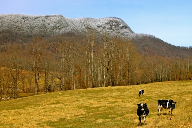 Ecotourism in Asheville, North Carolina