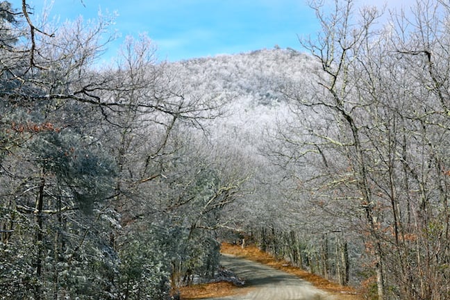 Winter in Pisgah National Forest, North Carolina