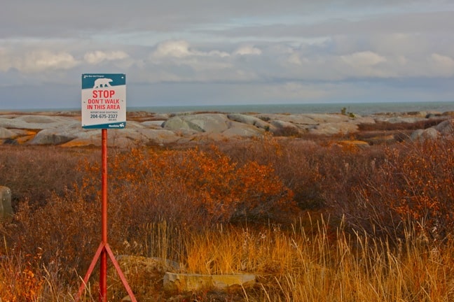 Polar Bear Alert Sign in Churchill, Manitoba