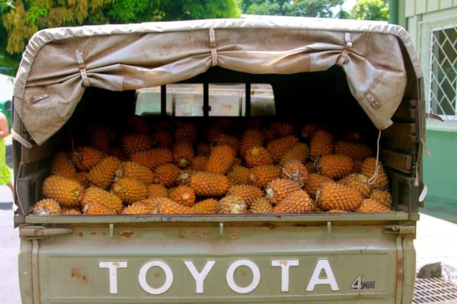 Pineapple Truck at Manutea Tahiti