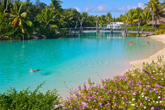 Four-Seasons-Bora-Bora-Ruahatu-Lagoon-Sanctuary