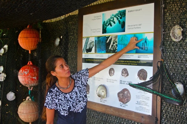 Pearl Diving Tour at The Farm in Bora Bora, Tahiti