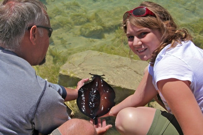 Alex Love Rescues a Sea Hare in Bermuda