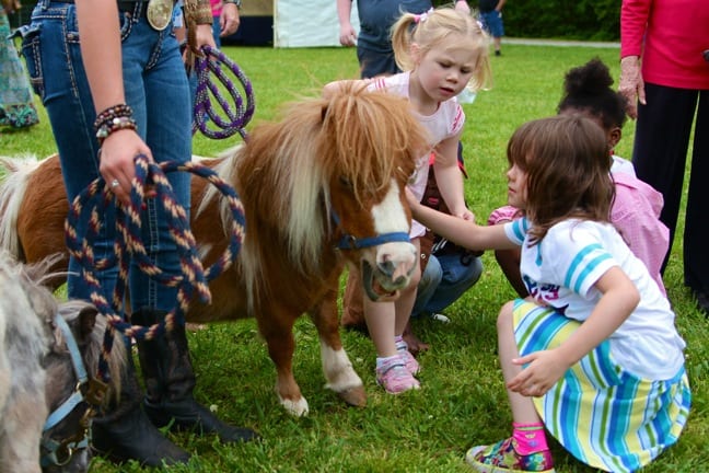 Save the Horses at Georgia Pow Wow