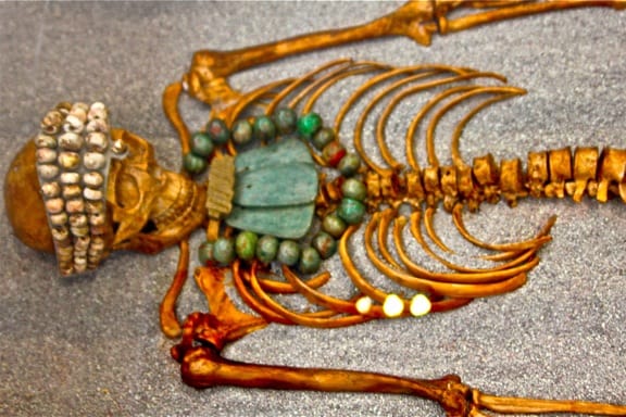 Skeleton exhibit in Museo de Maya in Cancun, Mexico