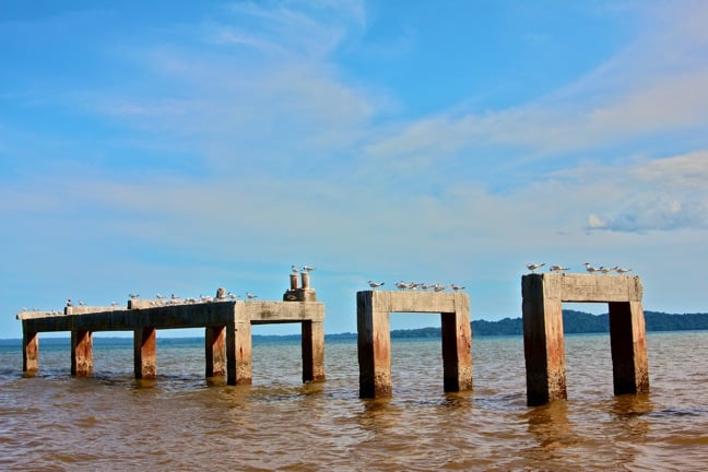 Seabirds Reclaim the Old Moorings at Coiba National Park, Panama