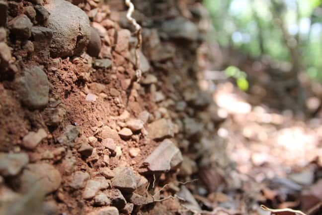 Relics of Panama History at Islas Secas