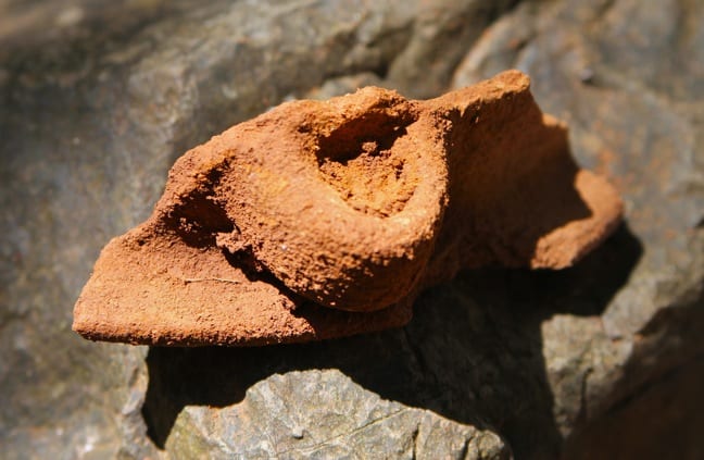 A 2000-Year-Old Pot Handle From Islas Secas, Panama