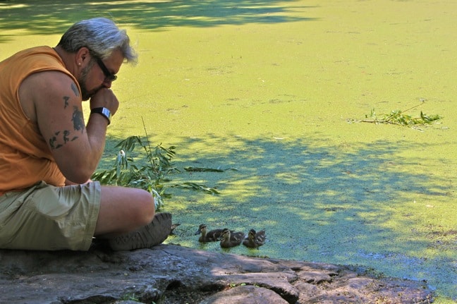 Turtle_Pond_Central_Park