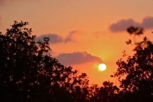 Travel to Jordan: Ajloun Forest Reserve