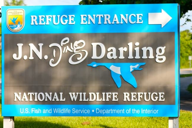 Photos of J.N. Ding Darling National Wildlife Refuge in Sanibel Island, Florida