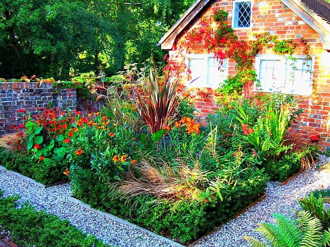 Backyard Garden