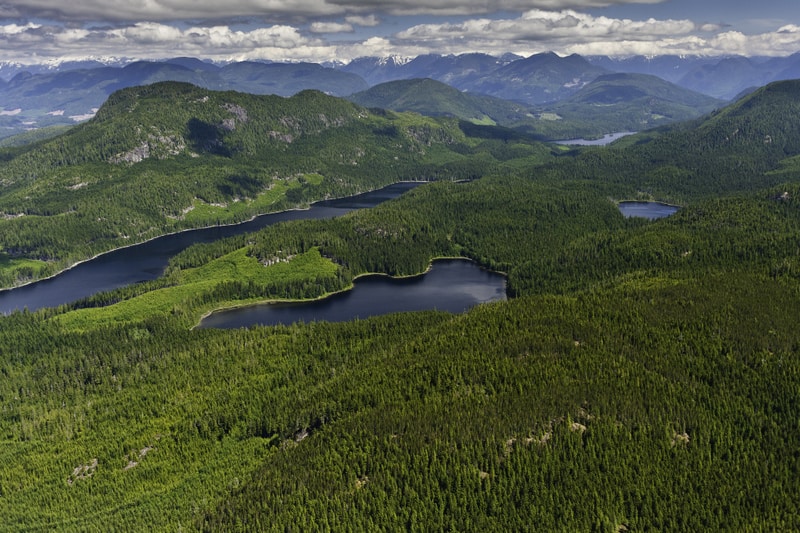 The Great Bear Rainforest in British Columbia