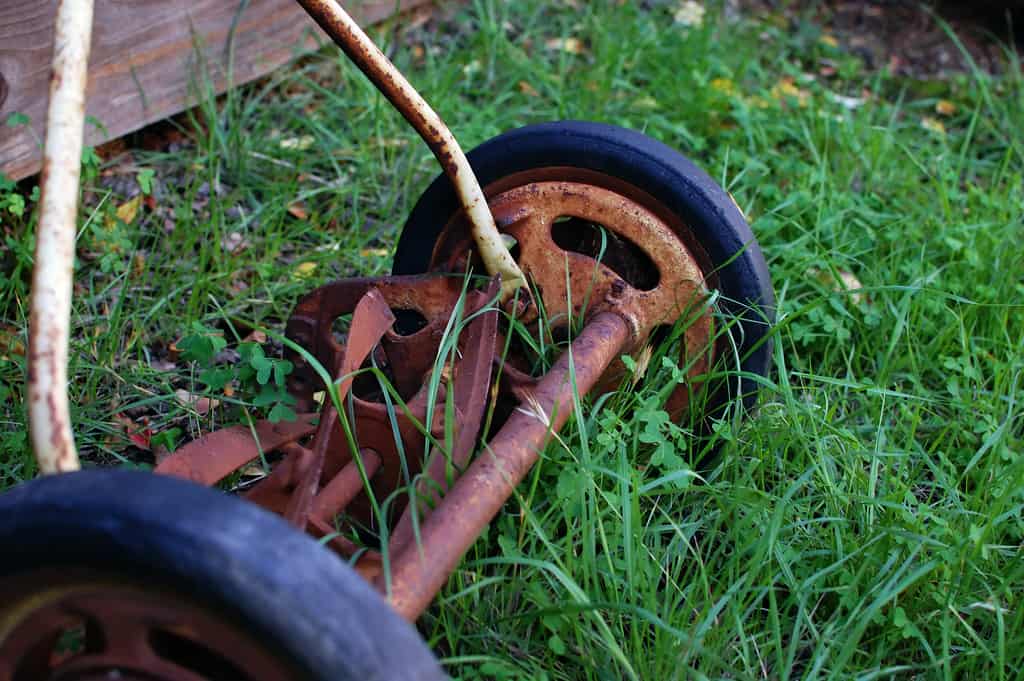 How to Save Water: Lawn Mower