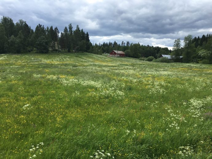 Least Visited National Parks in Europe - Sipoo National Park in Finland