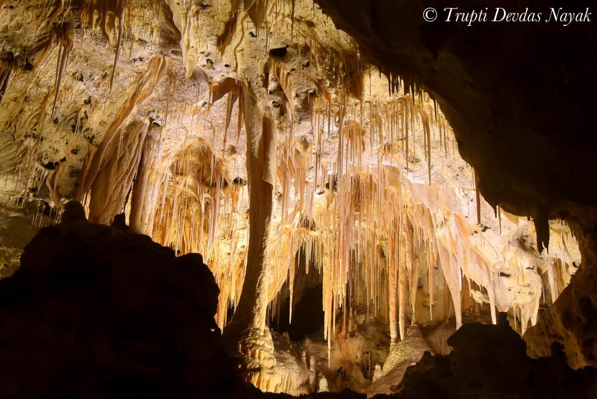 New Mexico National Park -Carlsbad Caverns National Park