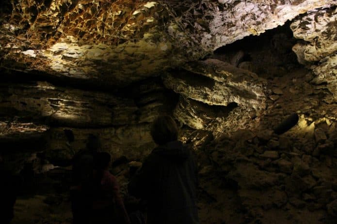 List of National Parks, A Complete Guide- Wind Cave National Park