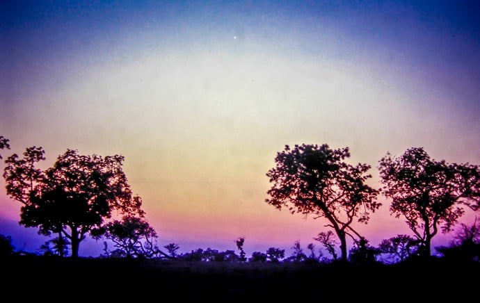 Londolozi Sunset, a Life Changing Experience in South Africa