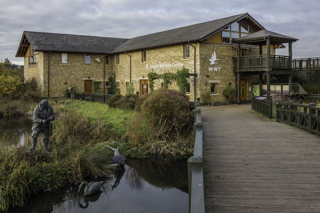 London_Wetland_Centre_Building_David_Iliff