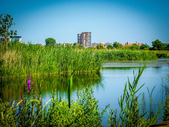 South London Seen From London Wetland Centre