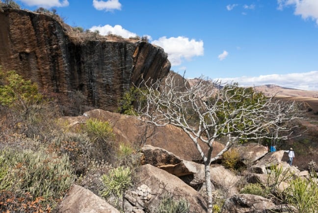 MadagascaKing Julien Granite Rocks