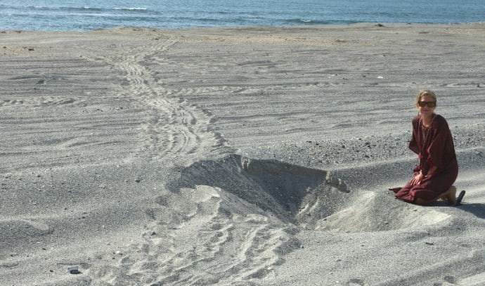 Fresh Sea Turtle Nest on Marsirah Island