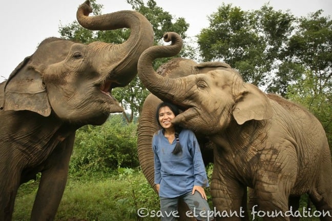 Lek Chaibert, the Elephant Whisperer of Elephant Nature Park