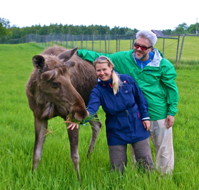 Bret Love & Mary Gabbett Hugging a Moose in Sweden