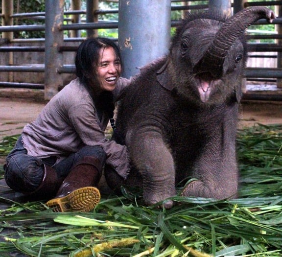 Baby Navann at Elephant Nature Park, Thailand