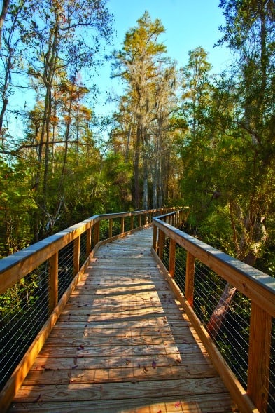 Panama City Beach Conservation Park