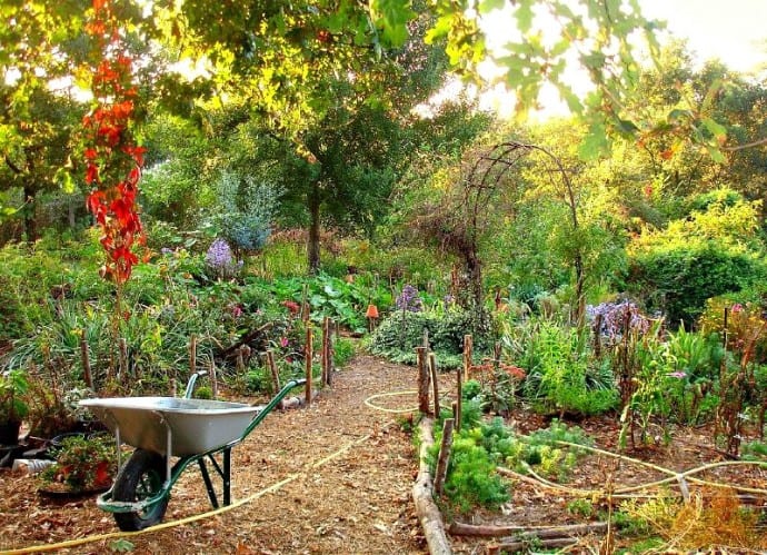 Permaculture Garden Guide Permaculture Garden by Irene Knightley via CC e1457299182465