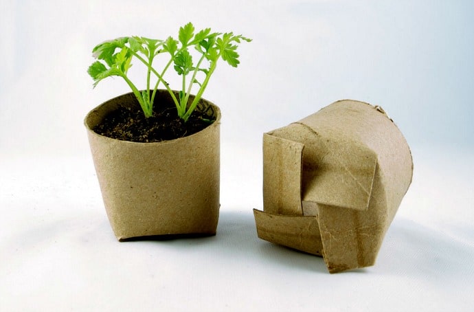 Permaculture Garden Guide - Toilet Paper Seedlings