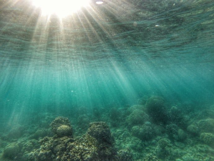 Philippine Island of Danjugan- An underwater world paradise
