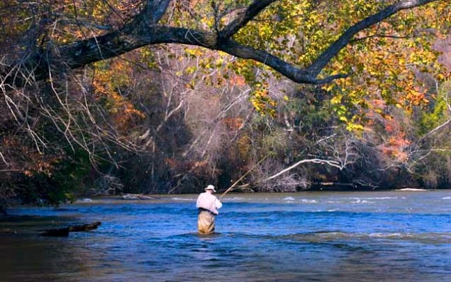 Chattahoochee River Fishing