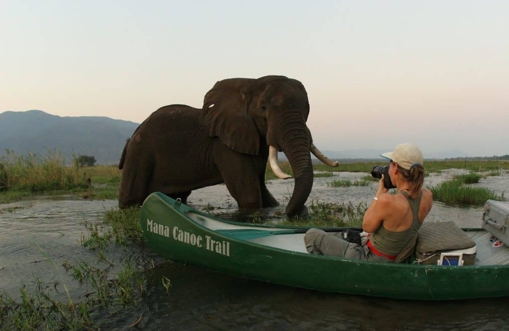 Los mejores viajes en canoa del mundo.  Delta del Okavango, Botsuana.  Foto de Dereck Joubert.