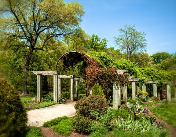 Greensboro Botanical Gardens Nc | Fasci Garden