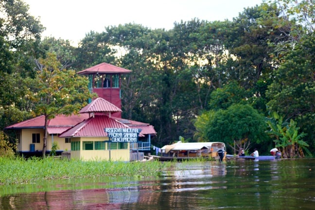 Picaya Samiria National Reserve