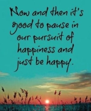 The pursuit of happiness