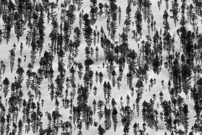 Aerial of the Ansel Adams Wilderness, California.