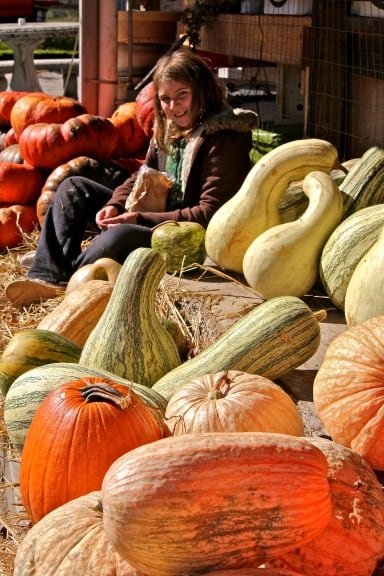 Autumn activities Atlanta Pumpkins