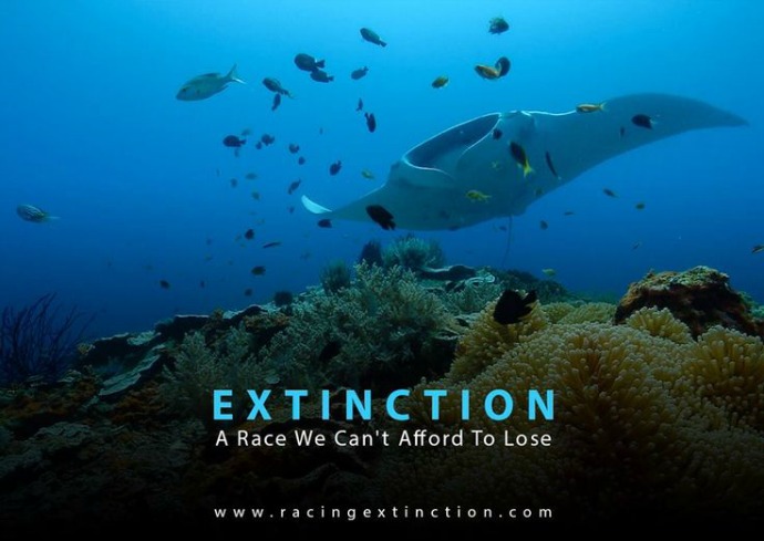 Louie Psihoyos directs Racing Extinction