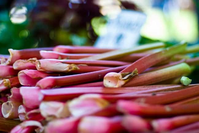 RHUBARB