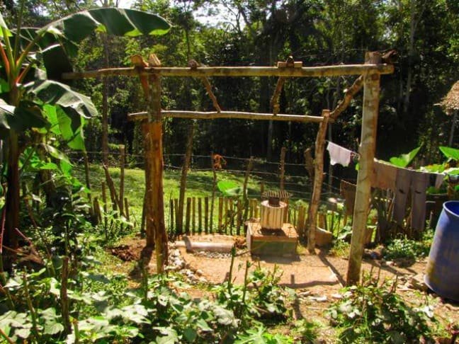 Permaculture Design Ideas