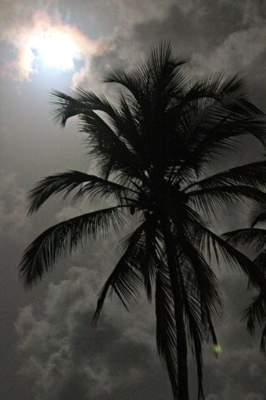 Rosalie_Bay_Resort_Dominica_Full_Moon