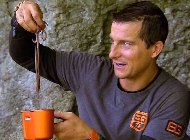 Running Wild With Bear Grylls