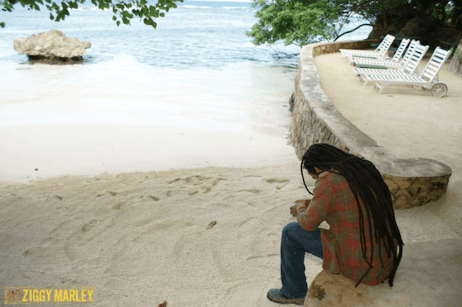 Ziggy Marley Interview 2014